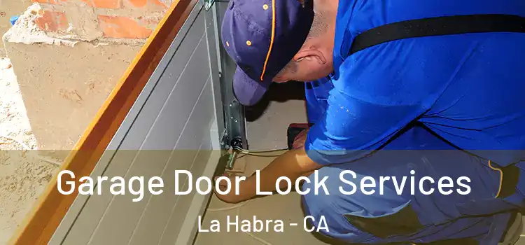 Garage Door Lock Services La Habra - CA