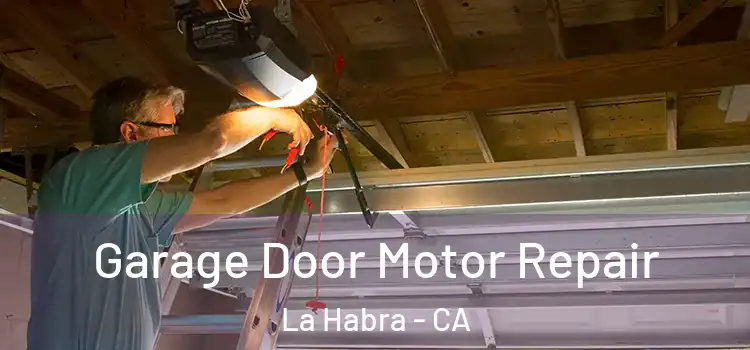  Garage Door Motor Repair La Habra - CA