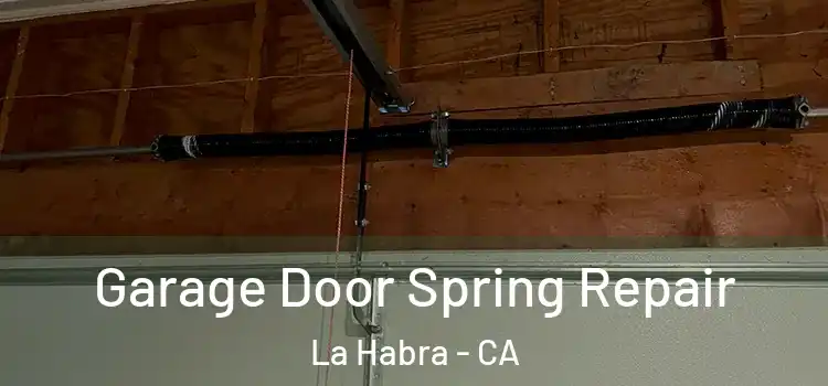  Garage Door Spring Repair La Habra - CA