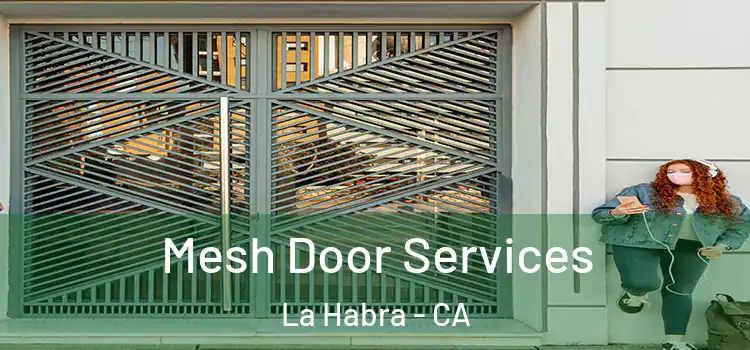 Mesh Door Services La Habra - CA