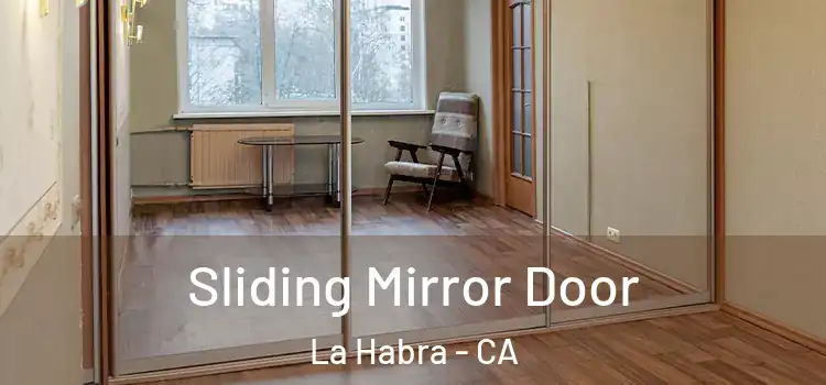  Sliding Mirror Door La Habra - CA